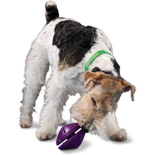 Tamanhos, Medidas e Dimensões do produto Brinquedo para Cães Twist'n Treat M - Premier