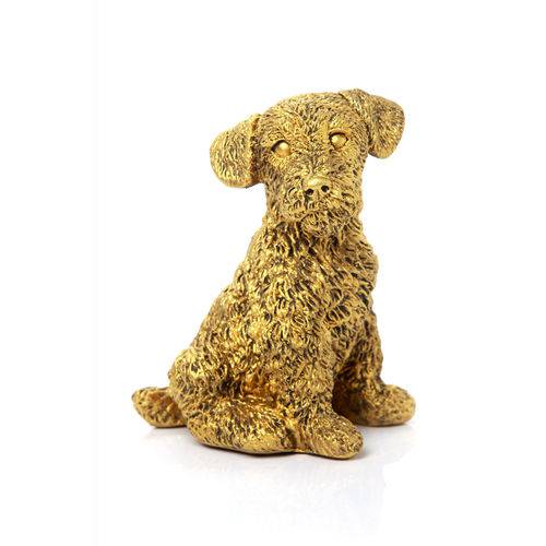 Tamanhos, Medidas e Dimensões do produto Cachorro Frescura Ouro Velho em Resina - Arte Retrô