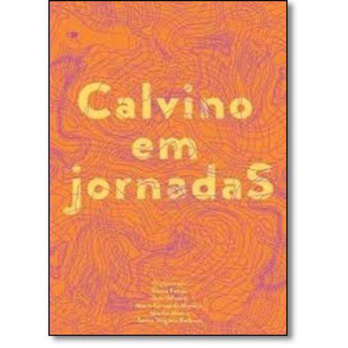 Tamanhos, Medidas e Dimensões do produto Calvino em Jornadas