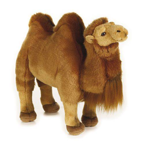 Tamanhos, Medidas e Dimensões do produto Camelo - Pelúcia National Geographic