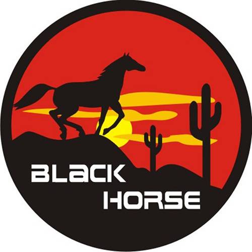 Tamanhos, Medidas e Dimensões do produto Capa para Estepe Carrhel Cavalo Negro com Cadeado - Crossfox / Ecosport / Doblo/Aircross