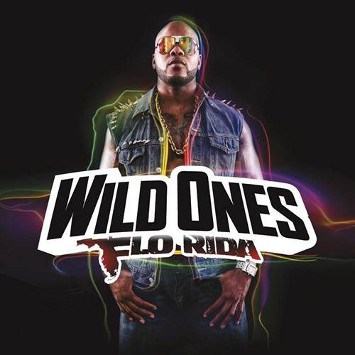 Tamanhos, Medidas e Dimensões do produto CD Flo Rida - Wild Ones