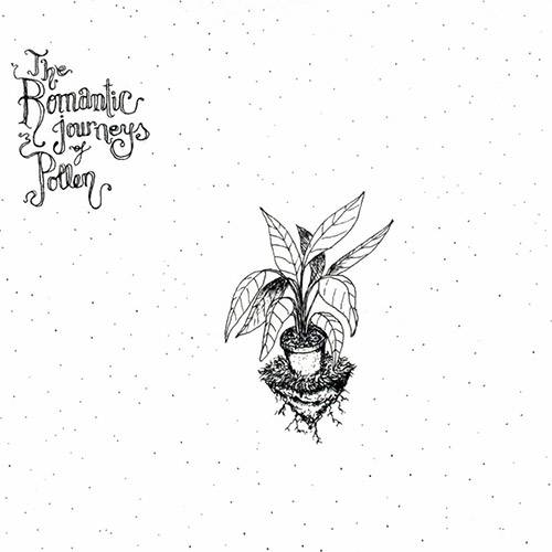 Tamanhos, Medidas e Dimensões do produto CD me And The Plant - The Romantic Journeys Of Pollen