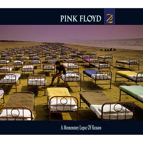 Tamanhos, Medidas e Dimensões do produto CD - Pink Floyd: a Momentary Lapse Of Reason