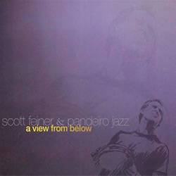 Tamanhos, Medidas e Dimensões do produto CD - Scott Feiner & Pandeiro Jazz: a View From Below