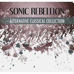 Tamanhos, Medidas e Dimensões do produto CD Sonic Rebellion Limitedition