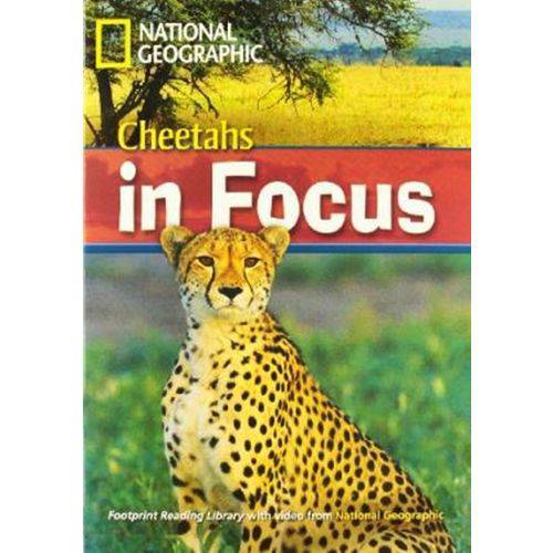 Tamanhos, Medidas e Dimensões do produto Cheetahs In Focus - Footprint Reading Library - British English - Level 6 - Book