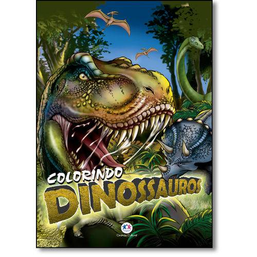 Tamanhos, Medidas e Dimensões do produto Colorindo Dinossauros