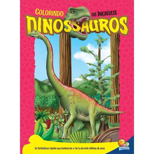 Tamanhos, Medidas e Dimensões do produto Colorindo os Incríveis Dinossauros