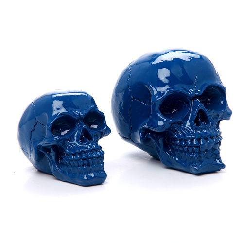 Tamanhos, Medidas e Dimensões do produto Crânios Azul Brilhante em Resina - Arte Retrô (KIT)