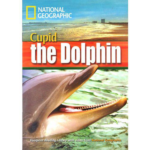 Tamanhos, Medidas e Dimensões do produto Cupid The Dolphin - Footprint Reading Library - British English - Level 4 - Book