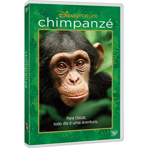 Tamanhos, Medidas e Dimensões do produto DVD Chimpanzé
