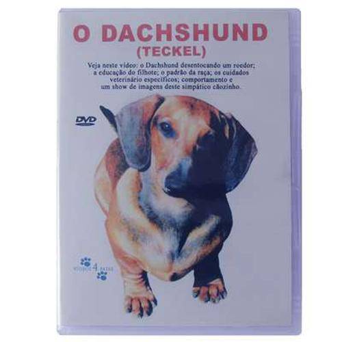 Tamanhos, Medidas e Dimensões do produto Dvd o Dachshund (Teckel)