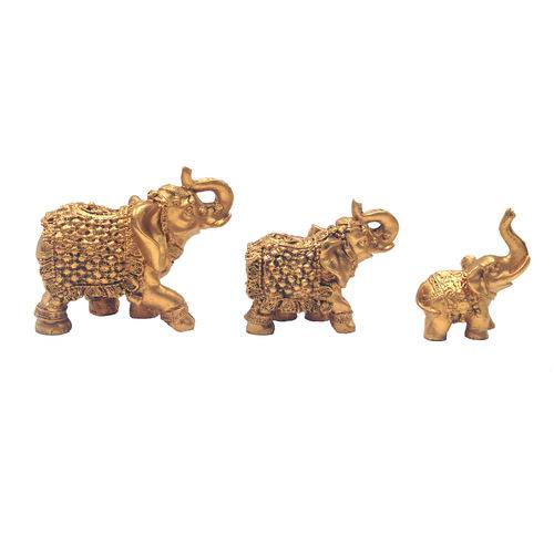 Tamanhos, Medidas e Dimensões do produto Elefante Indiano Ouro Velho em Resina - Arte Retrô (3 Peças)