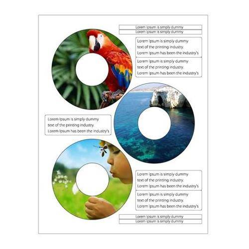 Tamanhos, Medidas e Dimensões do produto Etiquetas Autoadesivas para Cd/DVD Branca Fosca - 1 Pacote