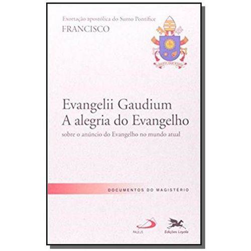 Tamanhos, Medidas e Dimensões do produto Exortacao Apostólica Evangelii Gaudium - a Alegria do Evangelho