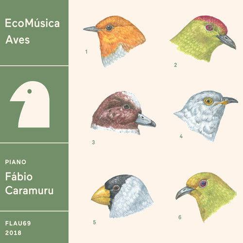Tamanhos, Medidas e Dimensões do produto Fabio Caramuru - Ecomúsica | Aves
