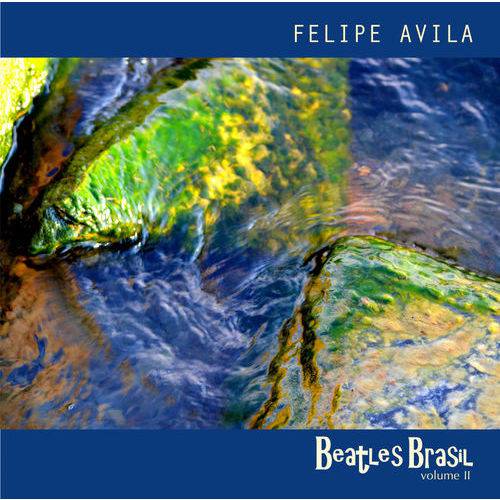 Tamanhos, Medidas e Dimensões do produto Felipe Avila - Beatles Brasil Vol. 2