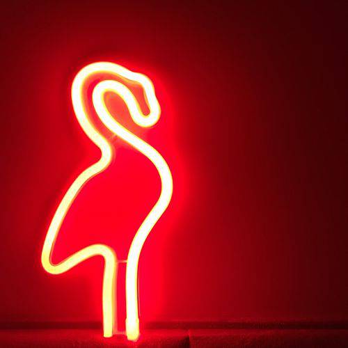 Tamanhos, Medidas e Dimensões do produto Flamingo de Neon Vermelho USB