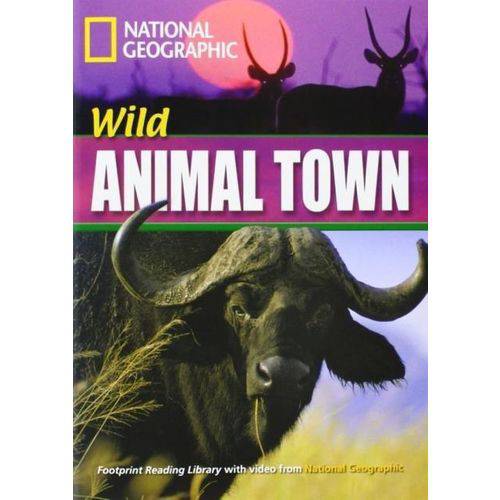 Tamanhos, Medidas e Dimensões do produto Footprint Reading Library - Level 4 1600 B1 - Wild Animal Town - British English + Multirom