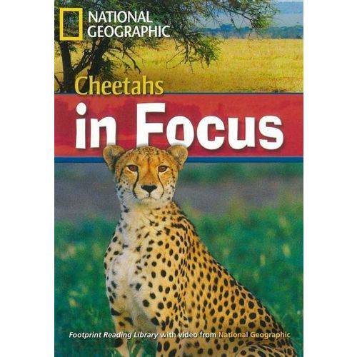 Tamanhos, Medidas e Dimensões do produto Footprint Reading Library - Level 6 2200 B2 - Cheetahs In Focus - American English + Multirom