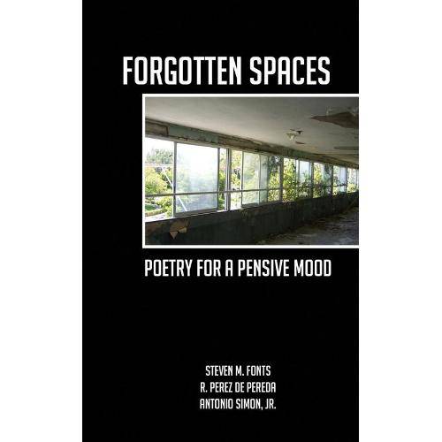 Tamanhos, Medidas e Dimensões do produto Forgotten Spaces