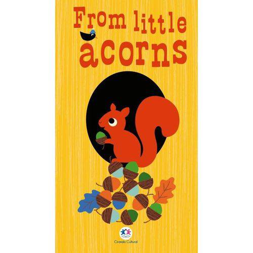 Tamanhos, Medidas e Dimensões do produto From Little Acorns