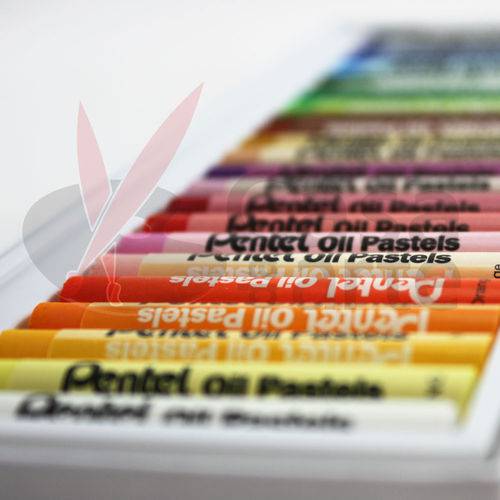 Tamanhos, Medidas e Dimensões do produto Giz Pastel Oleoso Pentel com 25 Cores - Cód. PHN25