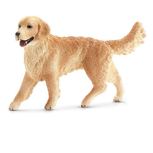 Tamanhos, Medidas e Dimensões do produto Golden Retriever Fêmea