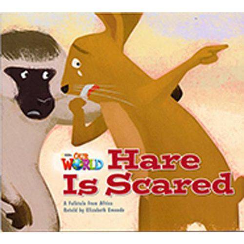 Tamanhos, Medidas e Dimensões do produto Hare Is Scared