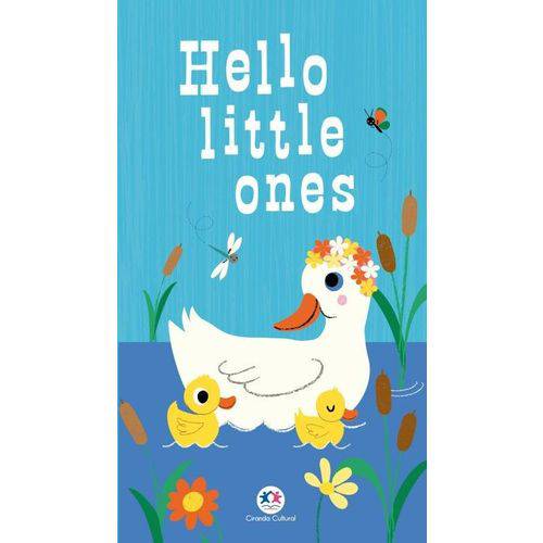 Tamanhos, Medidas e Dimensões do produto Hello Little Ones