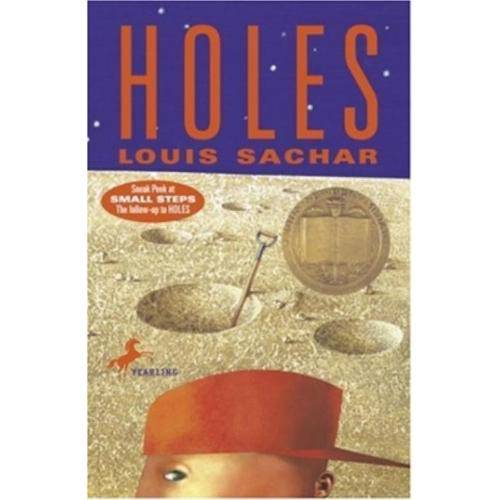 Tamanhos, Medidas e Dimensões do produto Holes - Random House