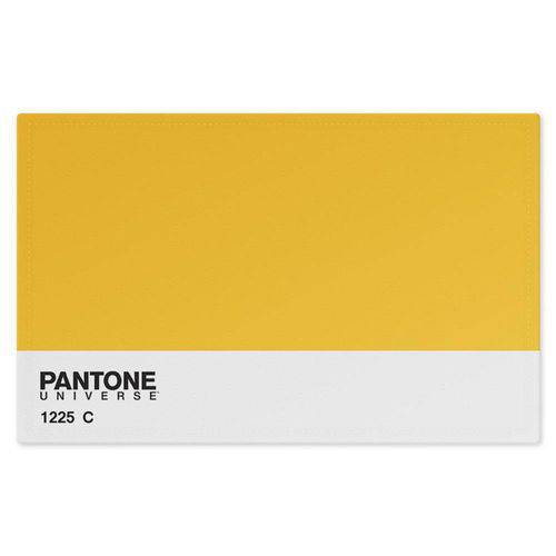 Tamanhos, Medidas e Dimensões do produto Jogo Americano Pantone Amarelo