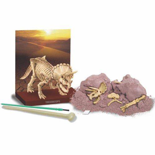 Tamanhos, Medidas e Dimensões do produto Kit de Escavação 3Dcomex Triceratopos