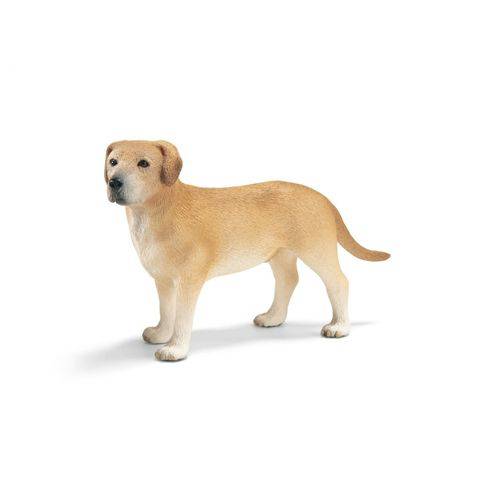 Tamanhos, Medidas e Dimensões do produto Labrador Macho - Schleich