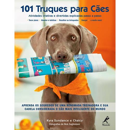 Tamanhos, Medidas e Dimensões do produto Livro - 101 Truques para Cães
