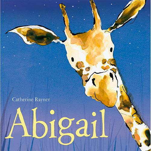 Tamanhos, Medidas e Dimensões do produto Livro - Abigail