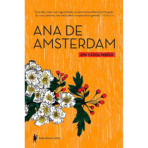 Tamanhos, Medidas e Dimensões do produto Livro - Ana de Amsterdam