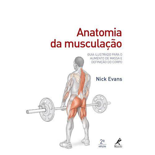 Tamanhos, Medidas e Dimensões do produto Livro - Anatomia da Musculação - Evans