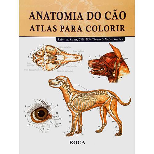 Tamanhos, Medidas e Dimensões do produto Livro - Anatomia do Cão: Atlas para Colorir