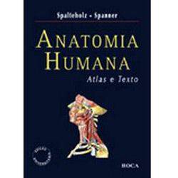 Tamanhos, Medidas e Dimensões do produto Livro - Anatomia Humana: Atlas e Texto