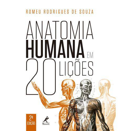 Tamanhos, Medidas e Dimensões do produto Livro - Anatomia Humana em 20 Lições - Souza
