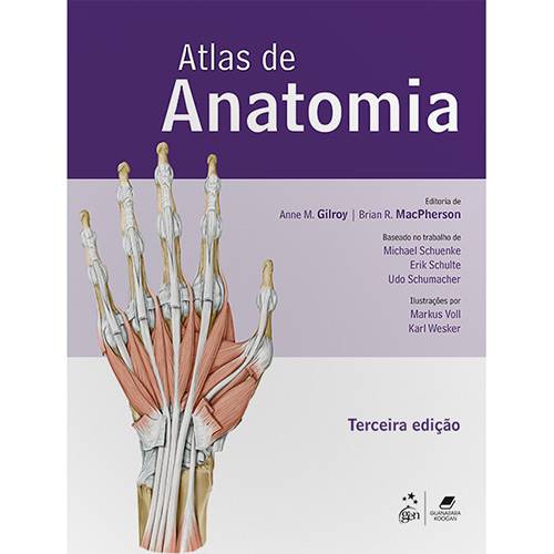 Tamanhos, Medidas e Dimensões do produto Livro - Atlas de Anatomia