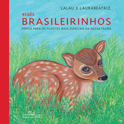 Tamanhos, Medidas e Dimensões do produto Livro - Bebês Brasileirinhos (Brochura)