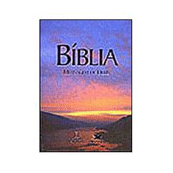 Tamanhos, Medidas e Dimensões do produto Livro - Bíblia Mensagem de Deus