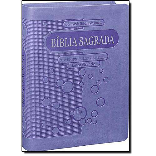 Tamanhos, Medidas e Dimensões do produto Livro - Bíblia Sagrada - Nova Tradução na Linguagem de Hoje com Letra Grande