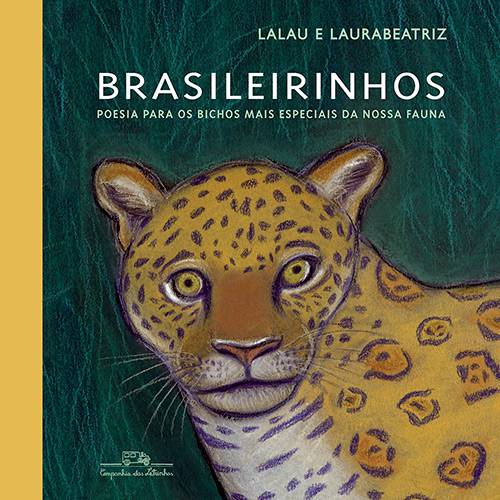 Tamanhos, Medidas e Dimensões do produto Livro - Brasileirinhos