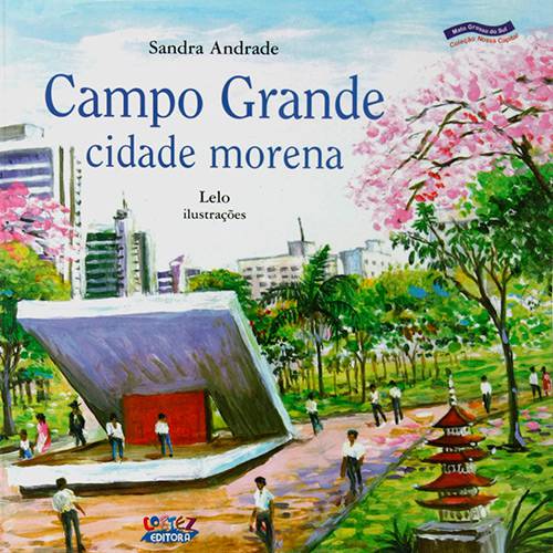 Tamanhos, Medidas e Dimensões do produto Livro - Campo Grande - Cidade Morena
