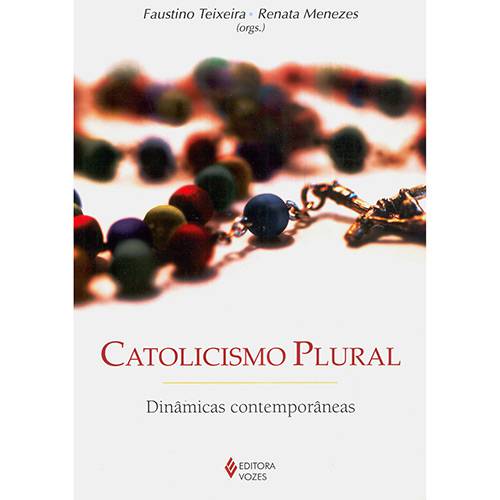 Tamanhos, Medidas e Dimensões do produto Livro - Catolicismo Plural - Dinâmicas Contemporâneas