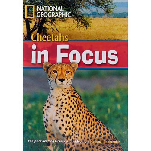 Tamanhos, Medidas e Dimensões do produto Livro - Cheetahs In Focus (British English) - Footprint Reading Library With Video From National Geographic